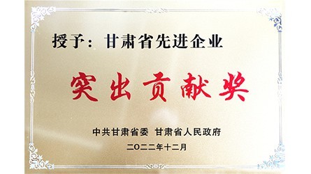 甘肃省先进企业突出孝顺奖