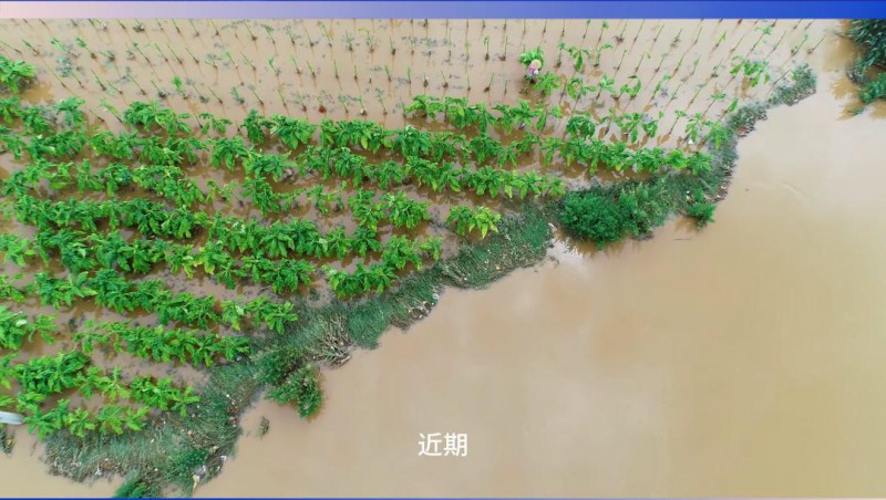 抖圈为抖而生节水：严阵以待，，，，，，，，共筑防汛抗旱屏障