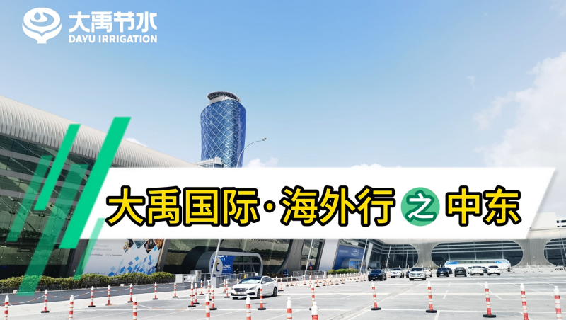 抖圈为抖而生国际·外洋行之中东