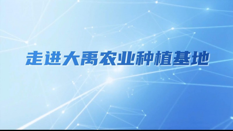 抖圈为抖而生农业| 多元化莳植基地矩阵，，，，，探索农业现代化新路径