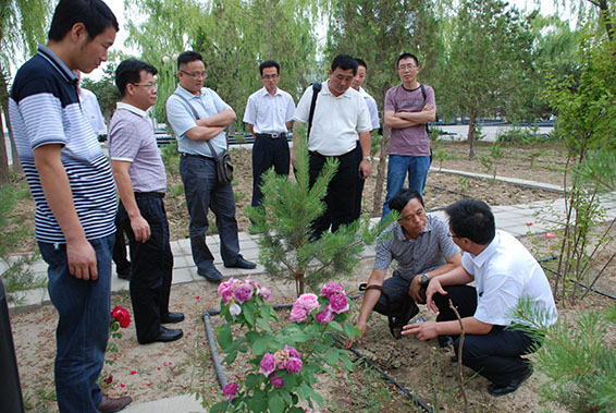 抖圈- 为du而生