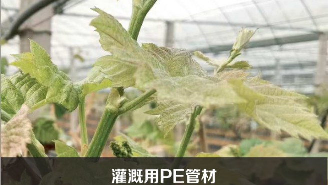 浇灌用PE管材