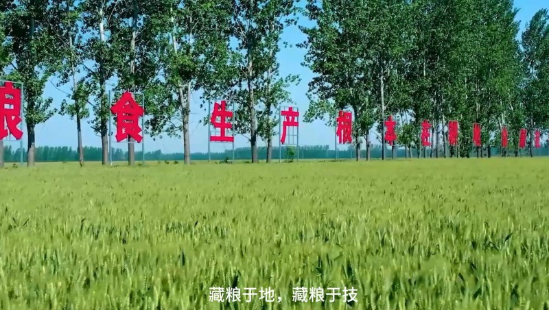 抖圈为抖而生节水：破解高标准农田建设难题，，，，，，，，扛牢粮食清静重担，，，，，，，，以科技与责任交出了一份立异答卷。。。。。。